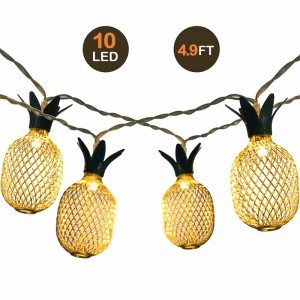 LED 灯 串 10LED Teplé bílé ananasové vlákno